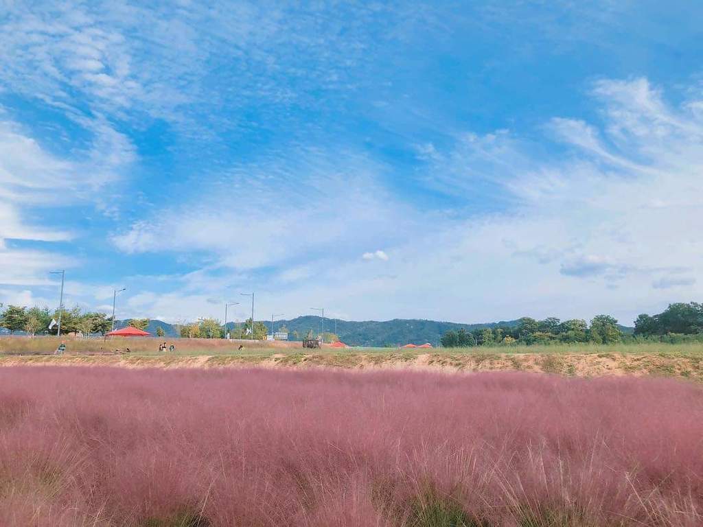 WhatsApp Image 2020-10-12 at 5.44.38 PM.jpeg