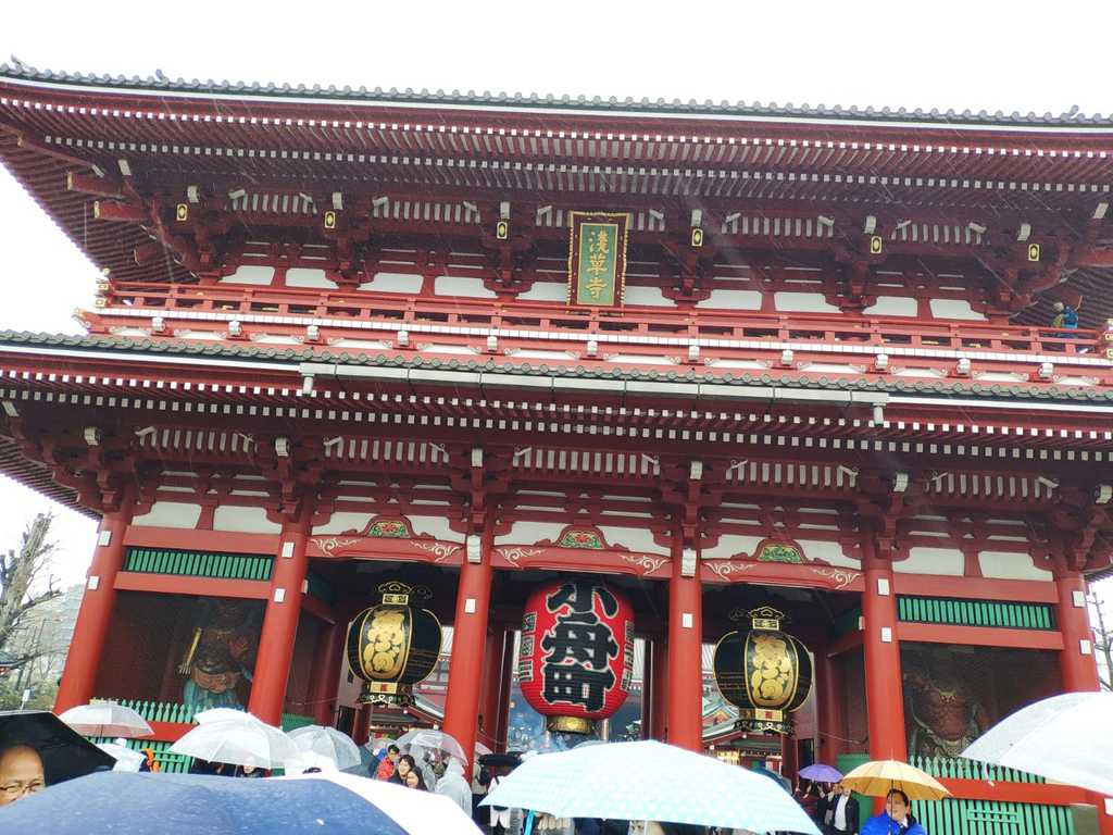 WhatsApp Image 2020-10-29 at 2.49.36 PM.jpeg