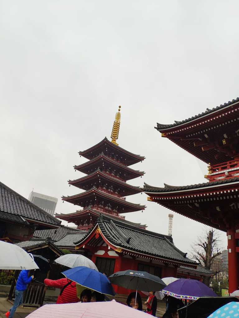 WhatsApp Image 2020-10-29 at 2.49.35 PM (4).jpeg