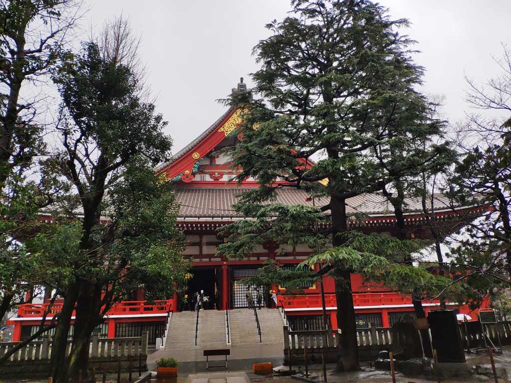 WhatsApp Image 2020-10-29 at 2.49.35 PM (1).jpeg