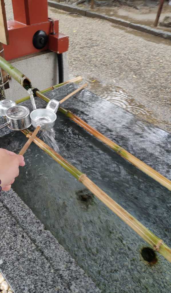 WhatsApp Image 2020-10-29 at 2.50.03 PM.jpeg