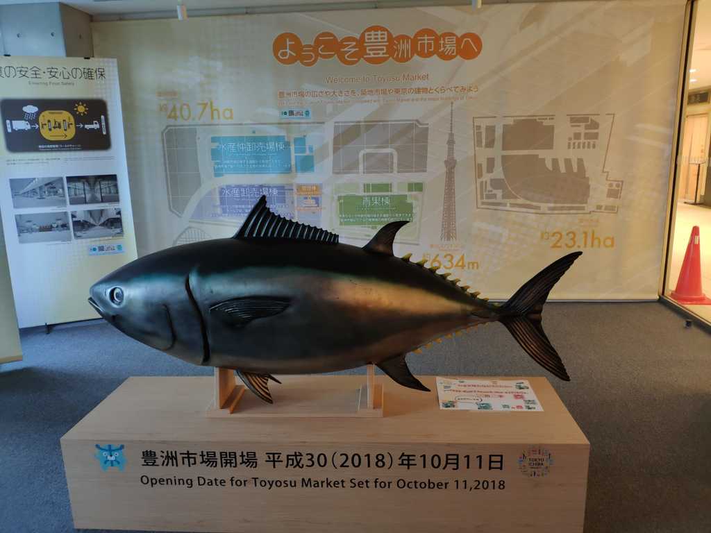 WhatsApp Image 2020-10-29 at 2.52.06 PM (3).jpeg