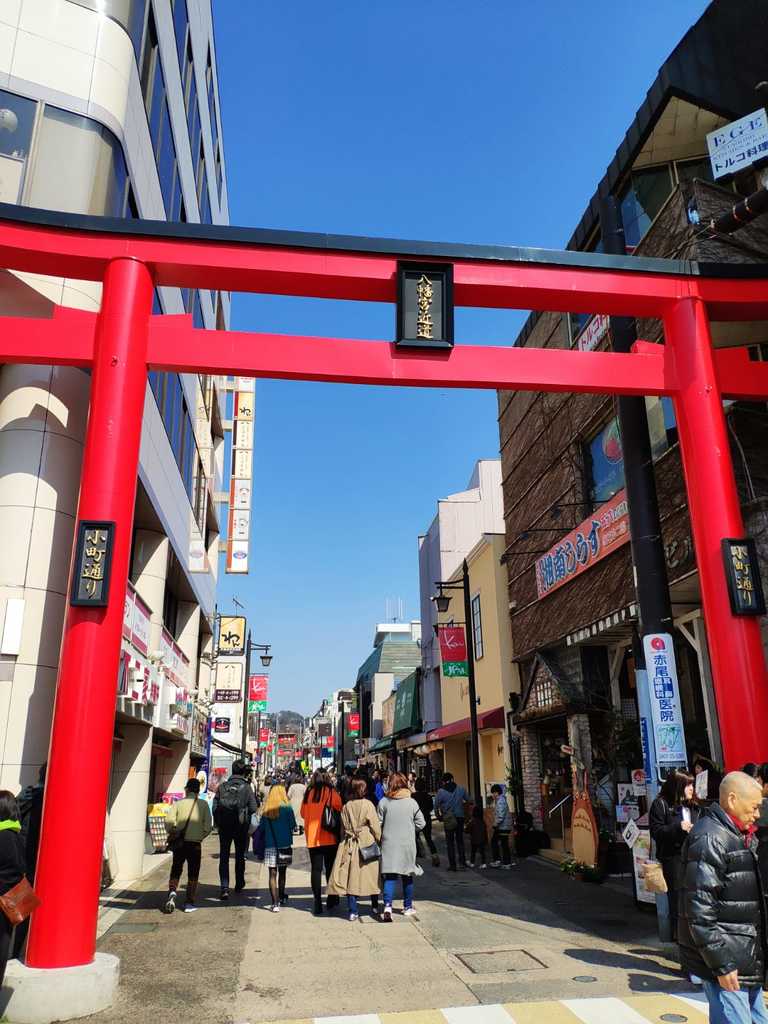 WhatsApp Image 2020-11-04 at 1.42.46 PM.jpeg