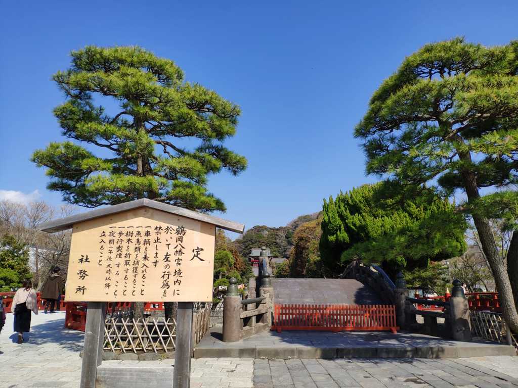 WhatsApp Image 2020-11-04 at 1.42.44 PM (4).jpeg