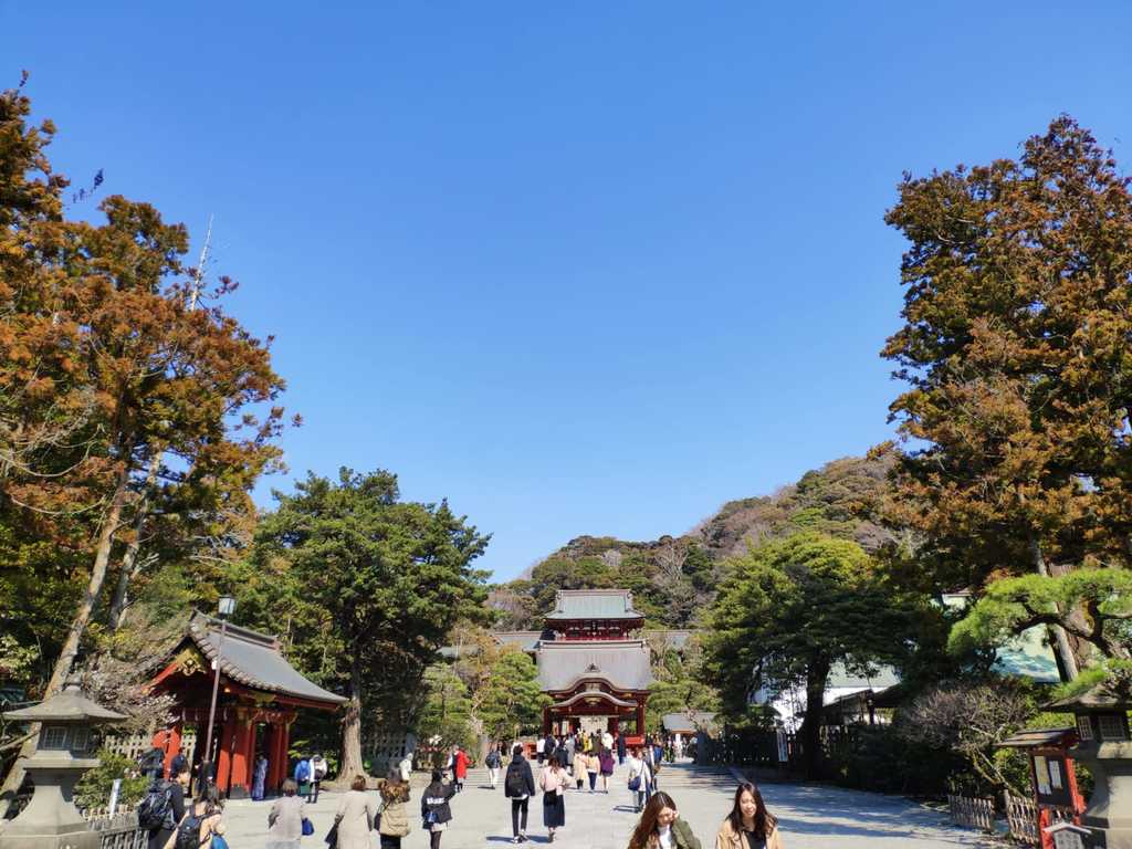 WhatsApp Image 2020-11-04 at 1.42.44 PM.jpeg