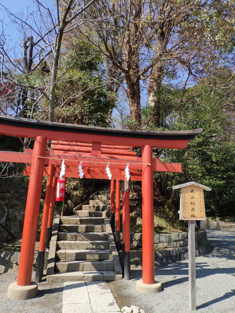 WhatsApp Image 2020-11-04 at 4.01.46 PM.jpeg