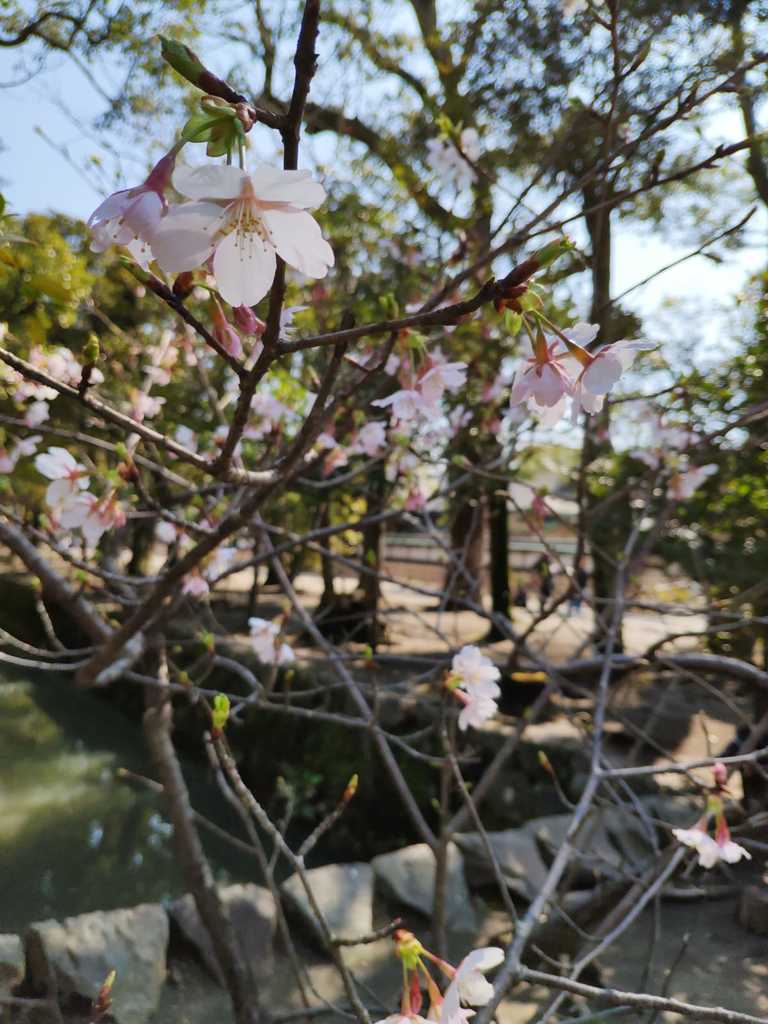 WhatsApp Image 2020-11-04 at 1.43.25 PM (3).jpeg