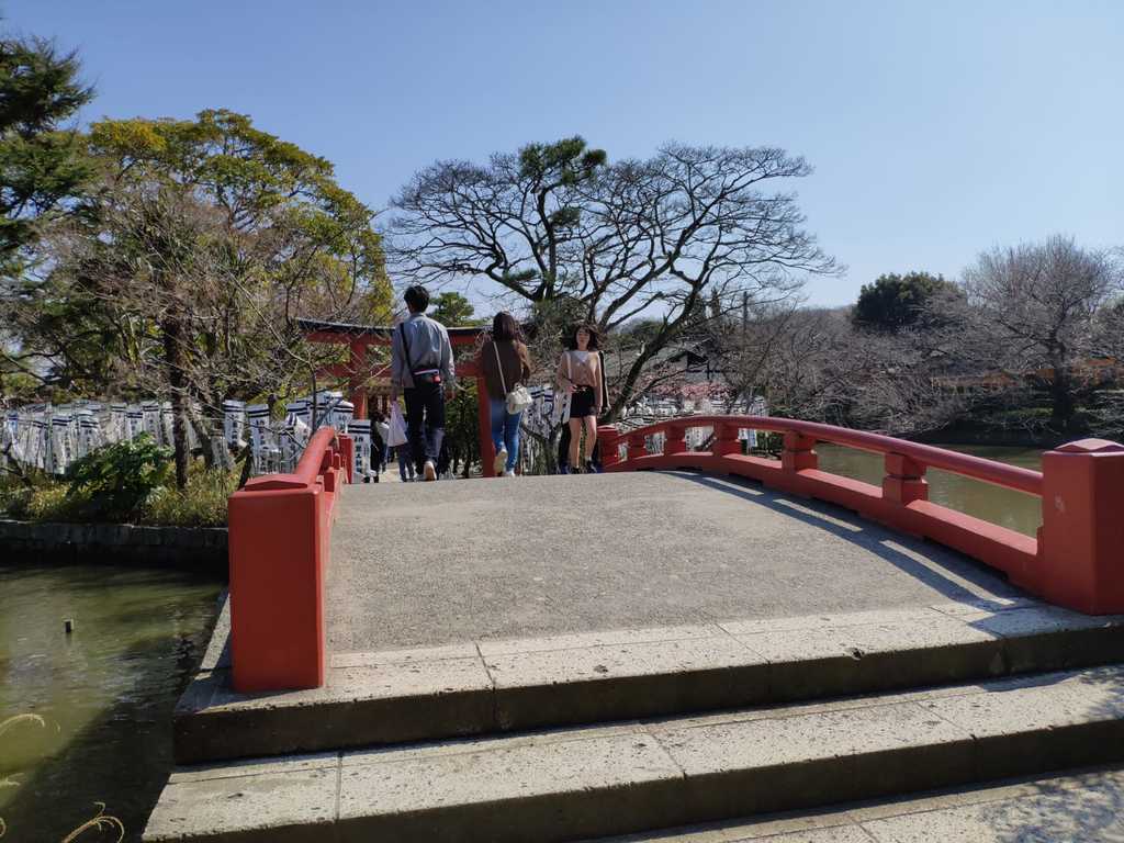 WhatsApp Image 2020-11-04 at 1.43.24 PM (2).jpeg