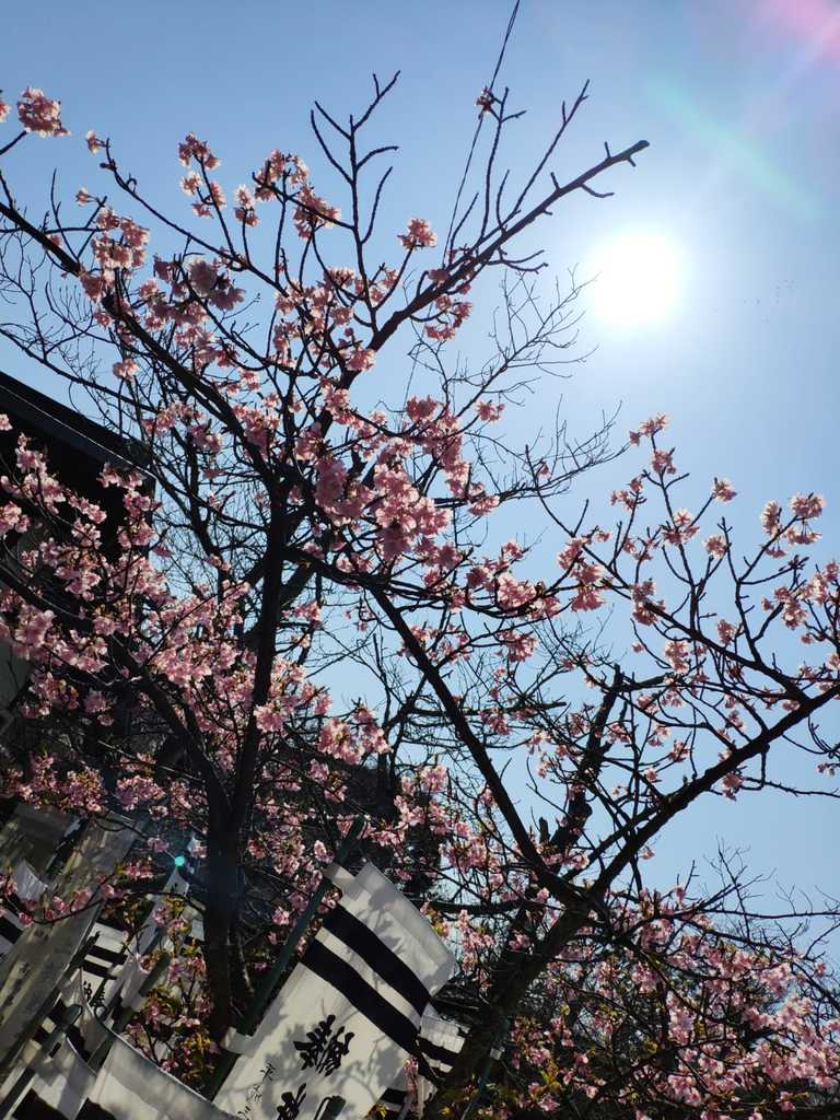 WhatsApp Image 2020-11-04 at 1.43.24 PM.jpeg