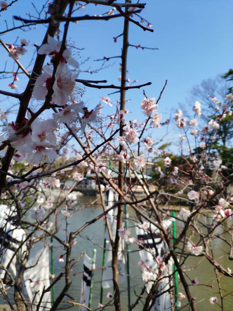 WhatsApp Image 2020-11-04 at 1.44.04 PM (2).jpeg