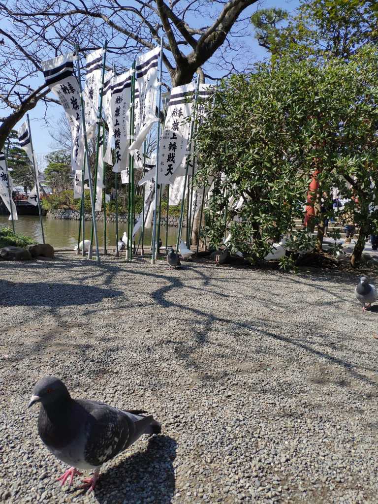 WhatsApp Image 2020-11-04 at 1.44.03 PM (2).jpeg