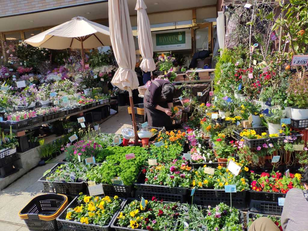 WhatsApp Image 2020-11-04 at 1.44.01 PM (2).jpeg