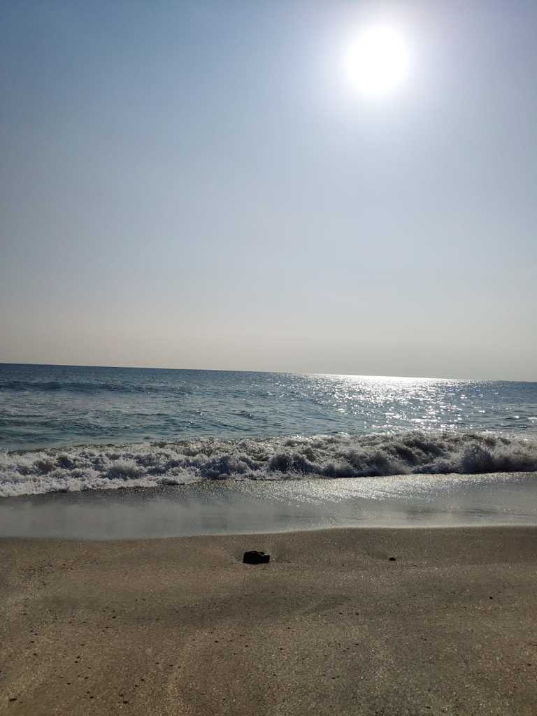 WhatsApp Image 2020-11-04 at 1.44.42 PM (2).jpeg