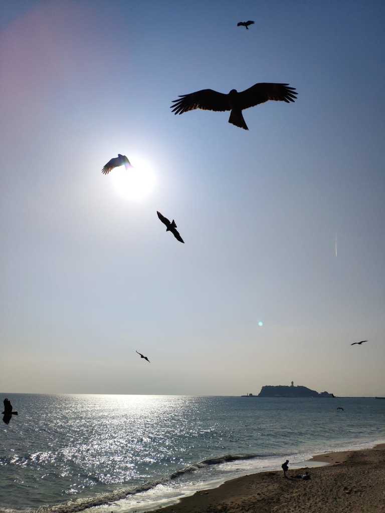 WhatsApp Image 2020-11-04 at 1.44.42 PM (3).jpeg