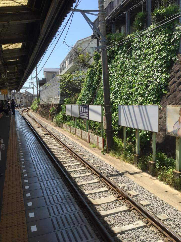 WhatsApp Image 2020-11-11 at 2.49.09 PM (3).jpeg