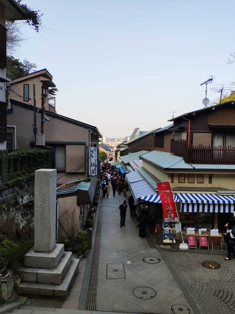 WhatsApp Image 2020-11-11 at 3.58.05 PM.jpeg