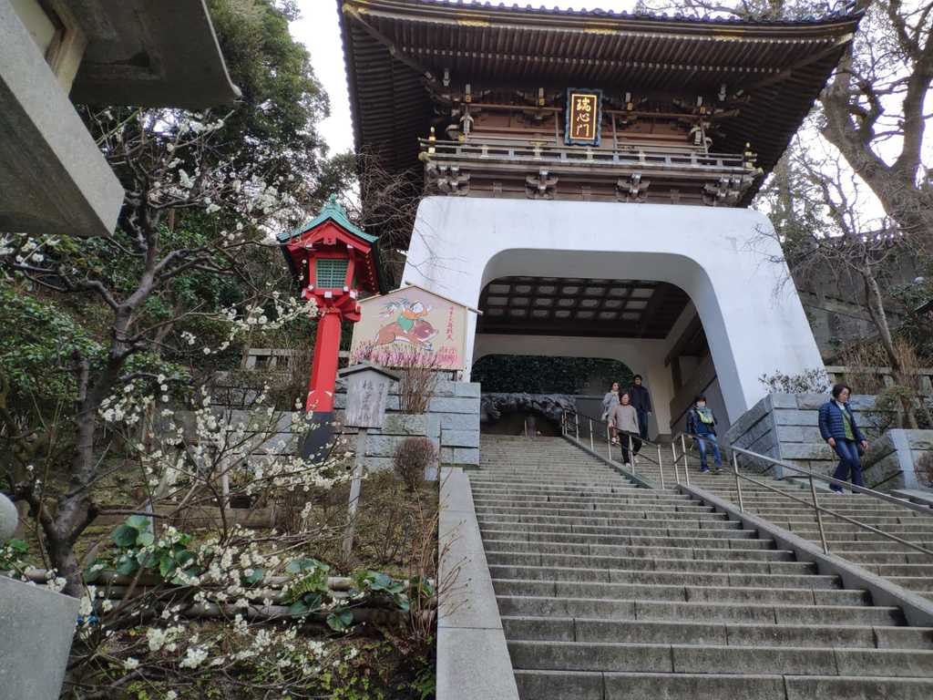 WhatsApp Image 2020-11-04 at 1.45.22 PM.jpeg