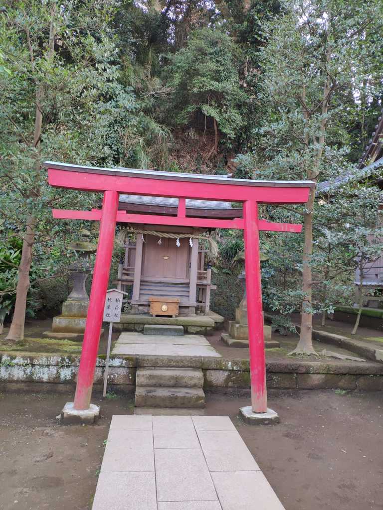 WhatsApp Image 2020-11-04 at 1.45.19 PM (1).jpeg