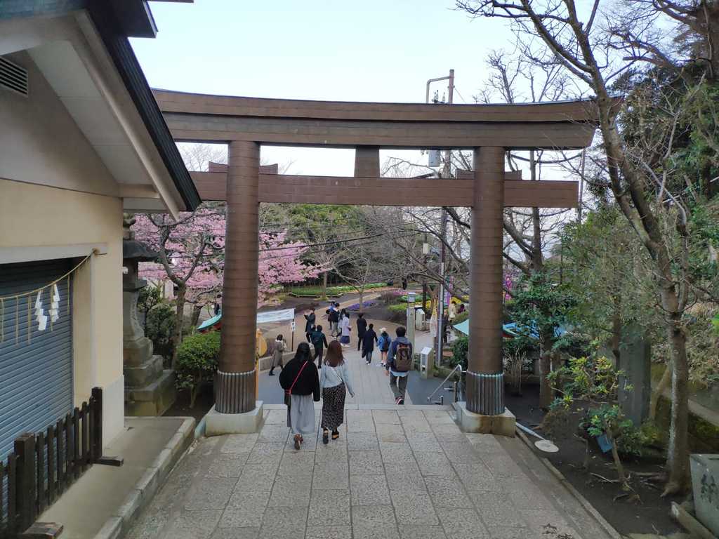 WhatsApp Image 2020-11-04 at 1.45.18 PM (3).jpeg