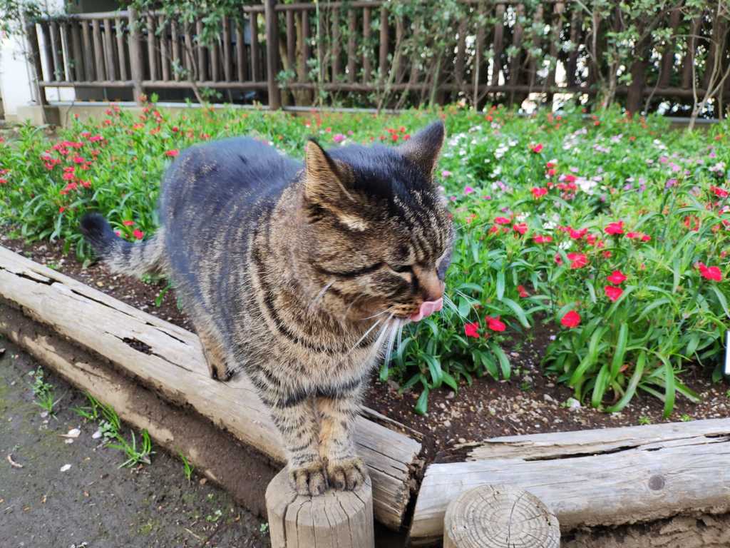 WhatsApp Image 2020-11-04 at 1.45.16 PM (4).jpeg