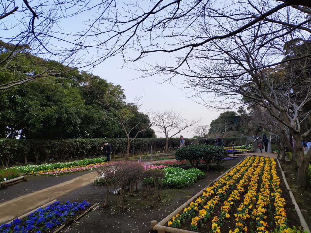 WhatsApp Image 2020-11-04 at 1.45.18 PM (1).jpeg