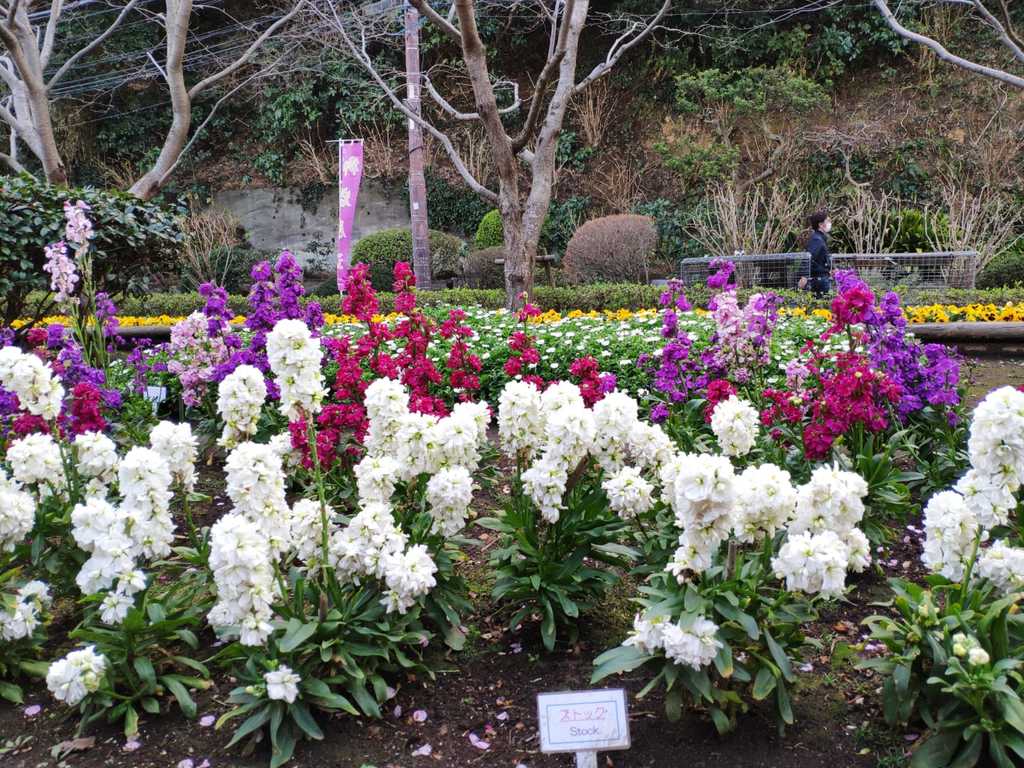 WhatsApp Image 2020-11-04 at 1.45.17 PM (1).jpeg