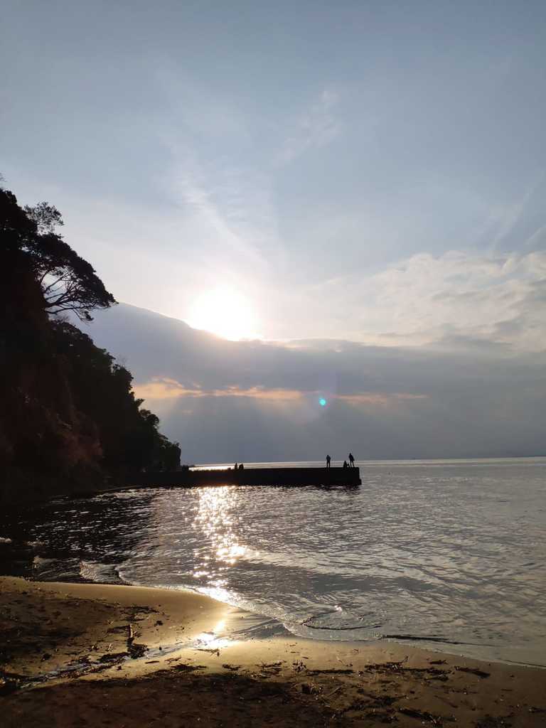 WhatsApp Image 2020-11-04 at 1.45.16 PM (2).jpeg