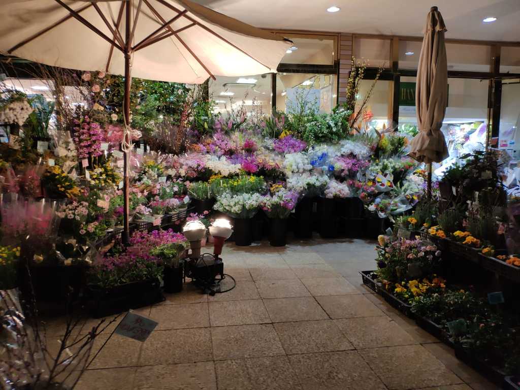 WhatsApp Image 2020-11-04 at 1.45.59 PM (4).jpeg