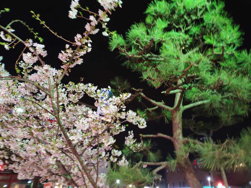 WhatsApp Image 2020-11-04 at 1.46.00 PM.jpeg