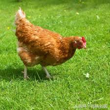 下載檔案 (13).jpeg