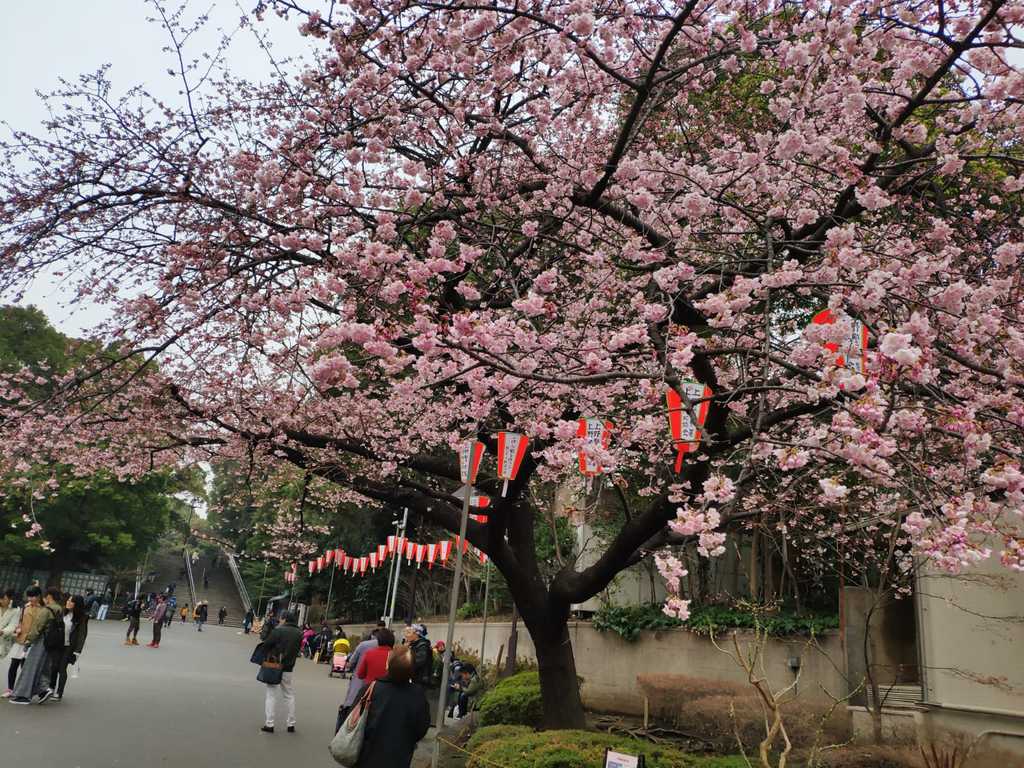 WhatsApp Image 2020-11-17 at 8.21.01 PM (1).jpeg