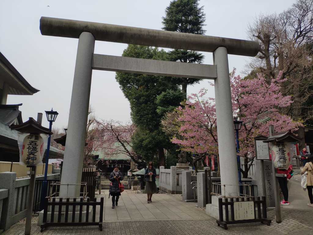 WhatsApp Image 2020-11-17 at 8.20.59 PM.jpeg