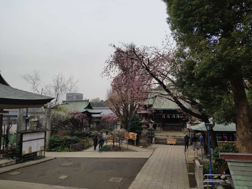 WhatsApp Image 2020-11-17 at 8.20.56 PM (2).jpeg