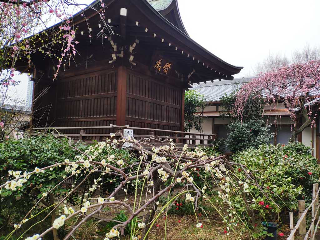 WhatsApp Image 2020-11-17 at 8.21.38 PM (2).jpeg