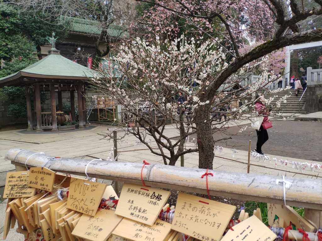 WhatsApp Image 2020-11-17 at 8.21.38 PM.jpeg