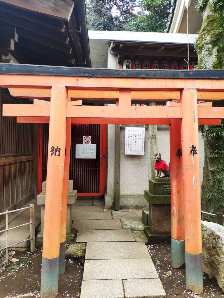 WhatsApp Image 2020-11-17 at 8.21.37 PM.jpeg