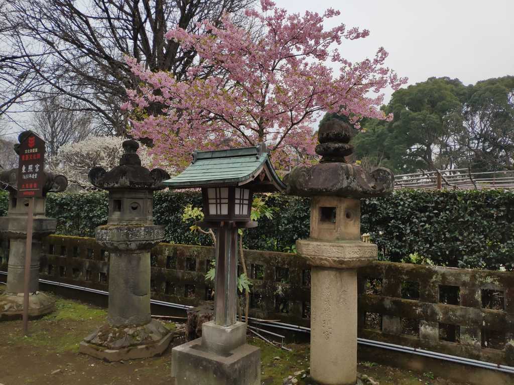 WhatsApp Image 2020-11-17 at 8.21.35 PM (3).jpeg