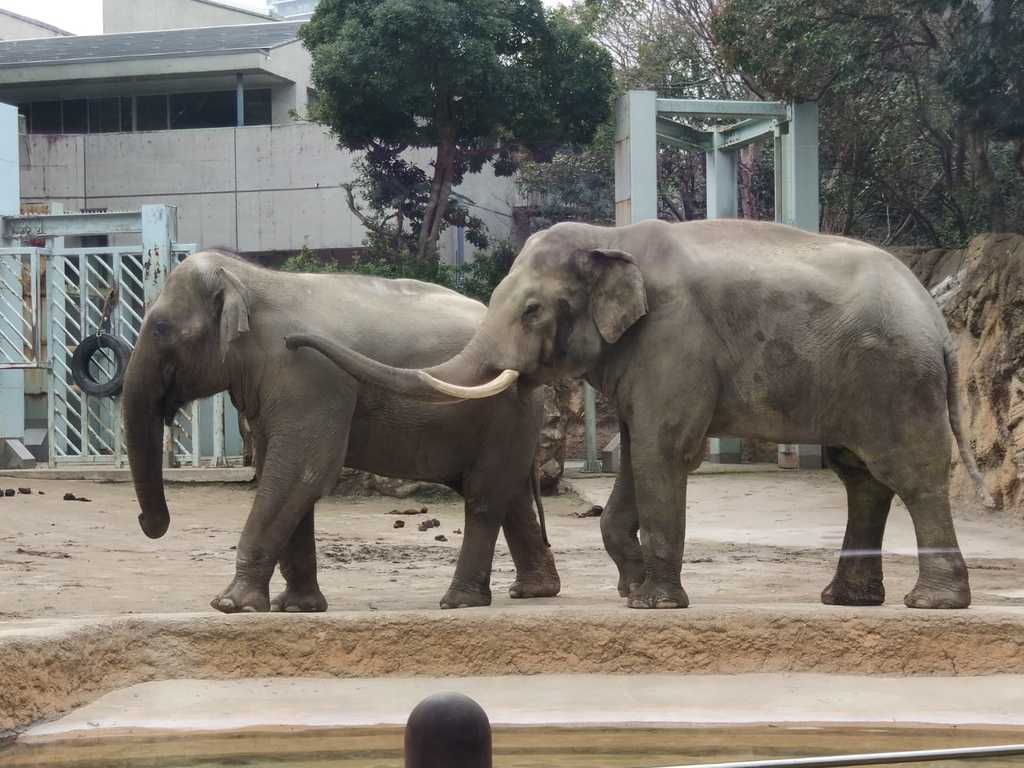 WhatsApp Image 2020-11-17 at 8.21.33 PM (2).jpeg