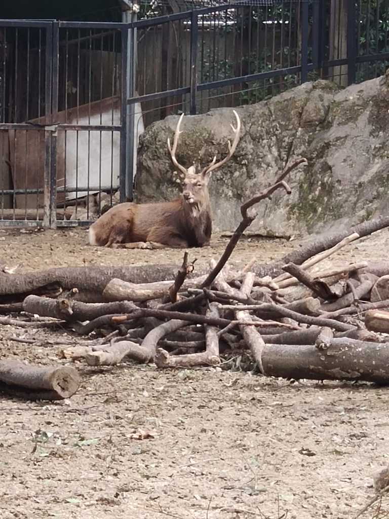 WhatsApp Image 2020-11-17 at 8.21.34 PM (2).jpeg