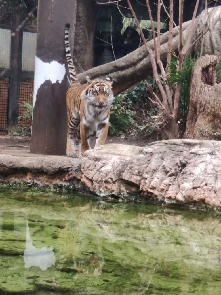 WhatsApp Image 2020-11-17 at 8.22.24 PM (5).jpeg