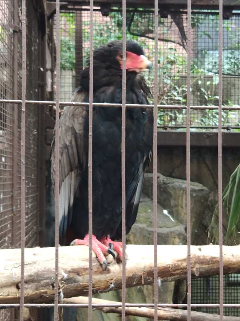 WhatsApp Image 2020-11-17 at 8.21.32 PM (3).jpeg