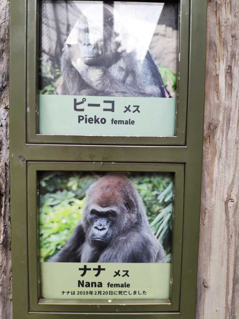 WhatsApp Image 2020-11-17 at 8.22.23 PM (4).jpeg