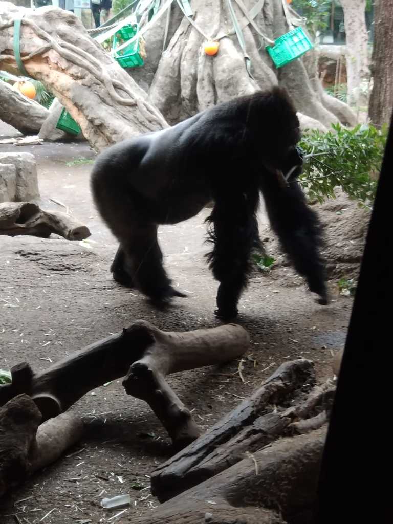 WhatsApp Image 2020-11-17 at 8.22.23 PM (2).jpeg