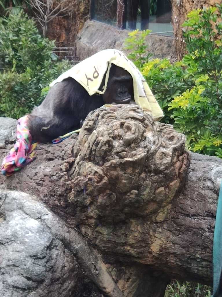 WhatsApp Image 2020-11-17 at 8.22.24 PM.jpeg