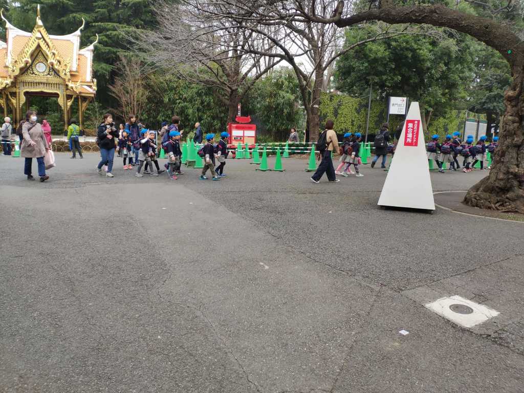 WhatsApp Image 2020-11-17 at 8.21.34 PM.jpeg