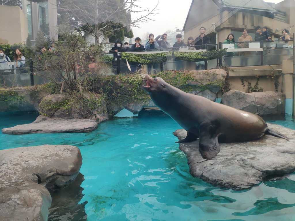 WhatsApp Image 2020-11-17 at 8.22.23 PM.jpeg