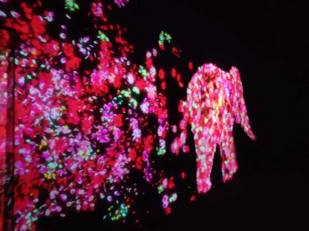 WhatsApp Image 2020-12-04 at 11.29.36 AM (1).jpeg