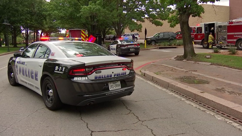 Dallaspublicsafety.jpg