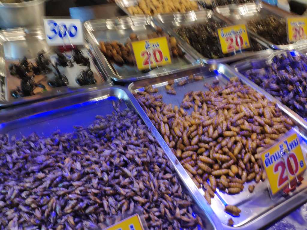 WhatsApp Image 2020-12-09 at 2.18.13 PM (2).jpeg