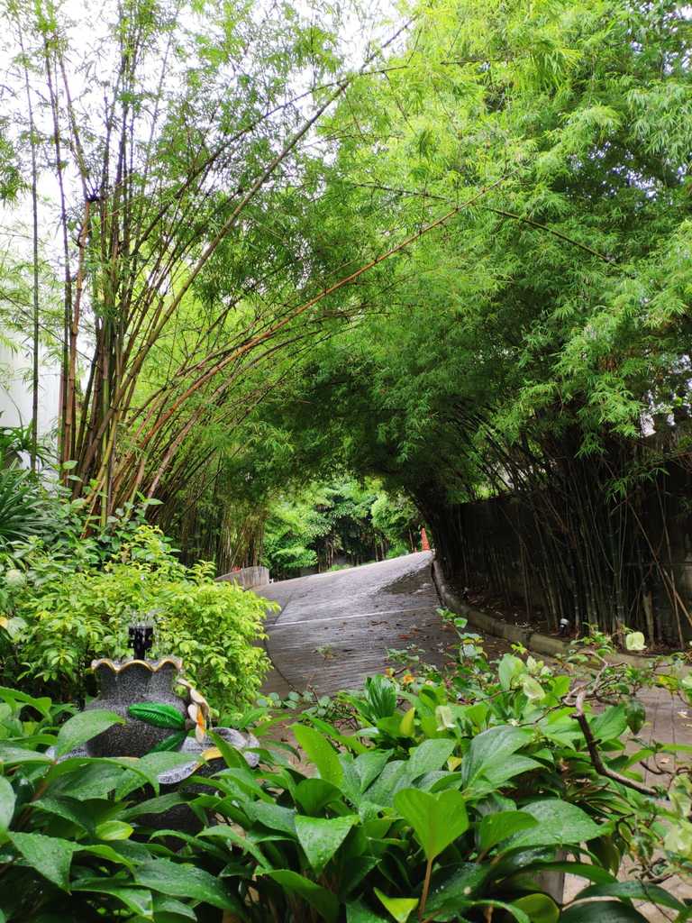 WhatsApp Image 2020-12-09 at 2.20.02 PM (4).jpeg